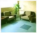 地毯清洗、沙發清洗